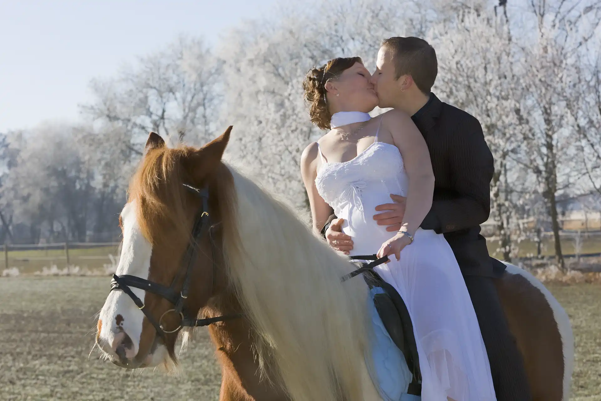 Farbfoto: Brautpaar gemeinsam auf einem Pferd sitzend. Die Braut in weißem Kleid, er im Anzug und die Braut sitz vorne, wendet sich zum Kuß nach hinten zu ihrem Mann. Er legt seine Hände um ihren Bauch, in dem sich offensichtlich ein Baby entwickelt.